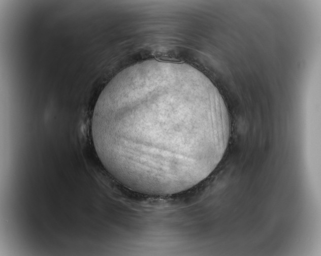 X0000088490914200706121546