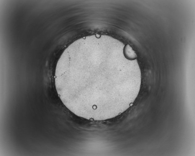 X0000088490918200706121546