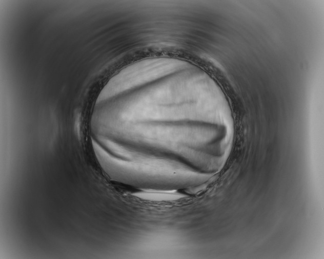 X0000088490919200706121546