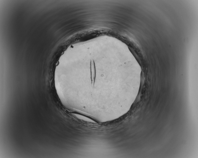 X0000088490920200706121546