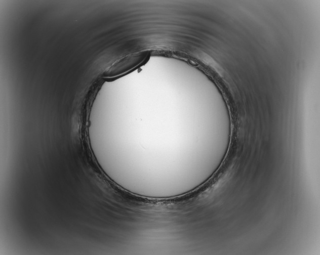 X0000088490922200706121546