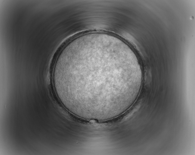 X0000088490924200706121546