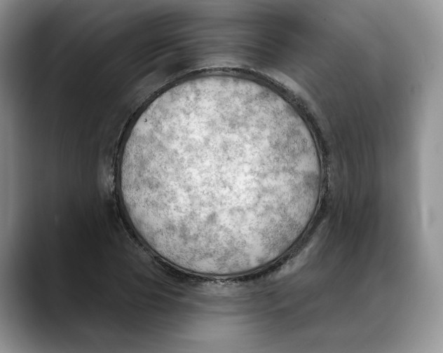 X0000088490929200706121546