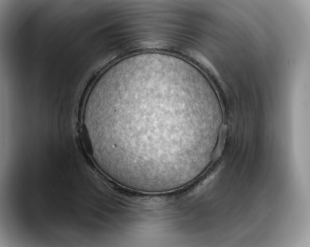 X0000088490930200706121546