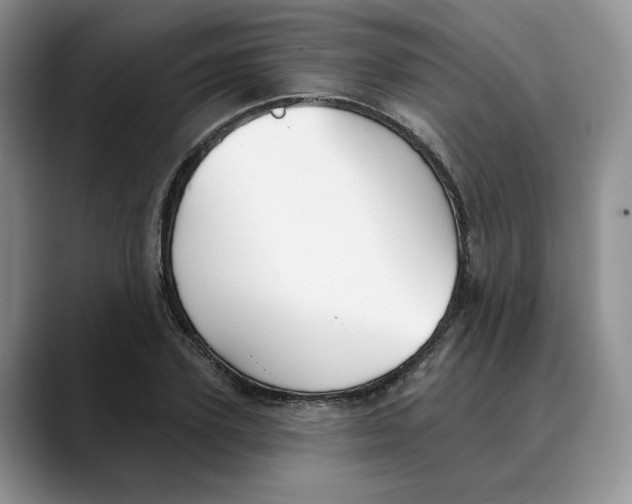 X0000088490931200706121546