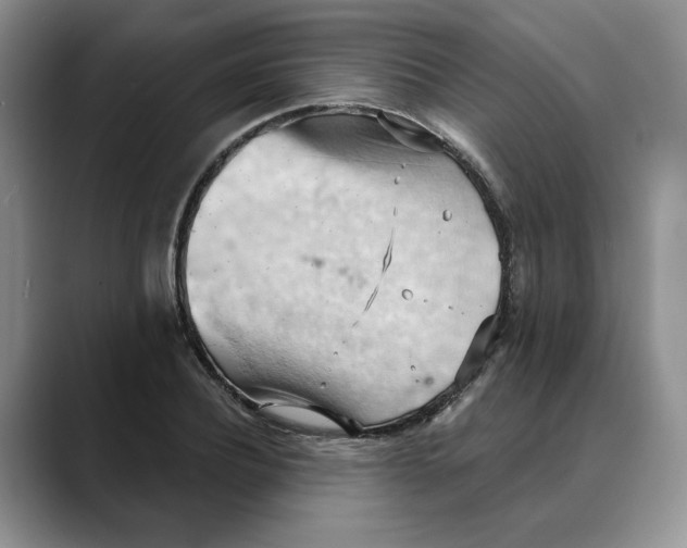 X0000088490932200706121546