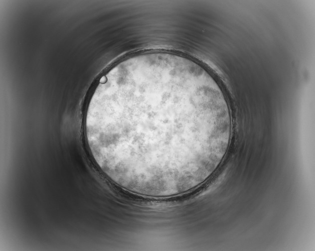 X0000088490933200706121546