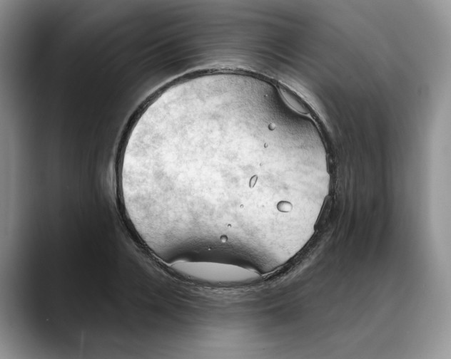 X0000088490936200706121546