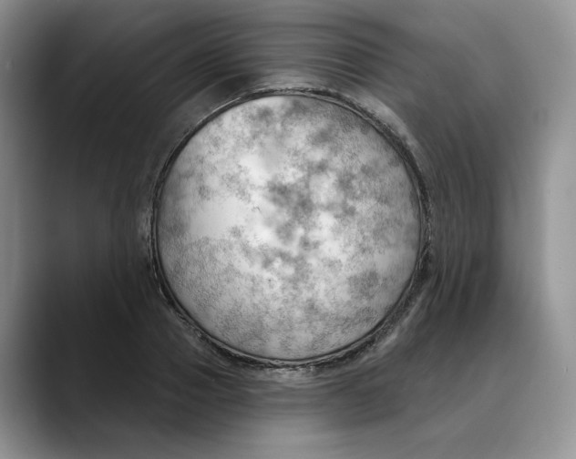 X0000088490937200706121546