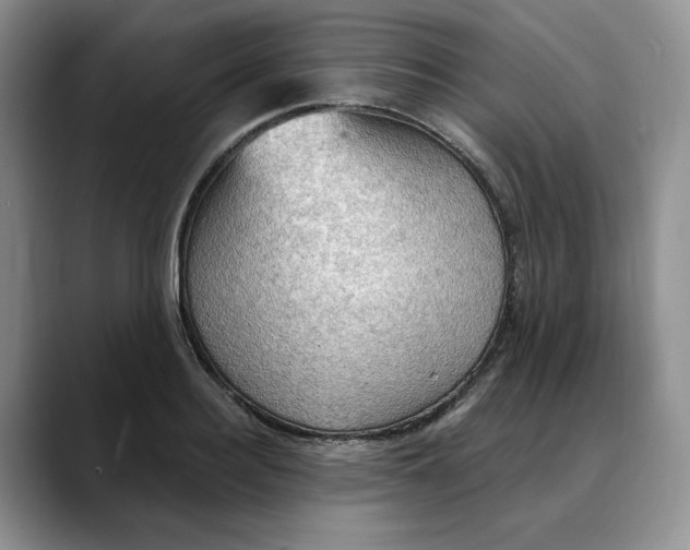 X0000088490940200706121546