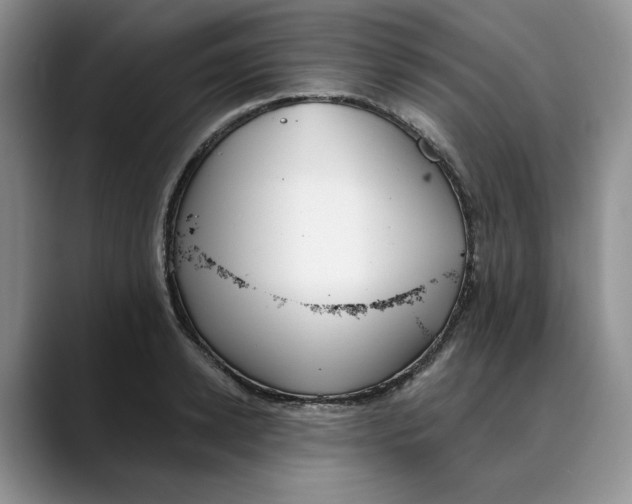 X0000088490942200706121546