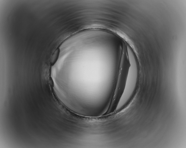 X0000088490945200706121546