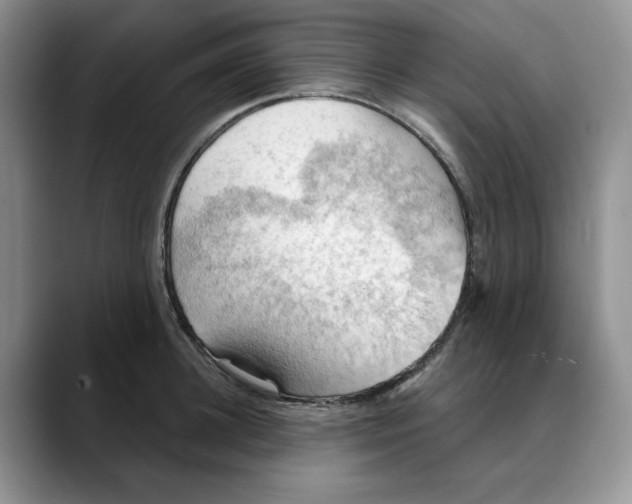 X0000088490948200706121546