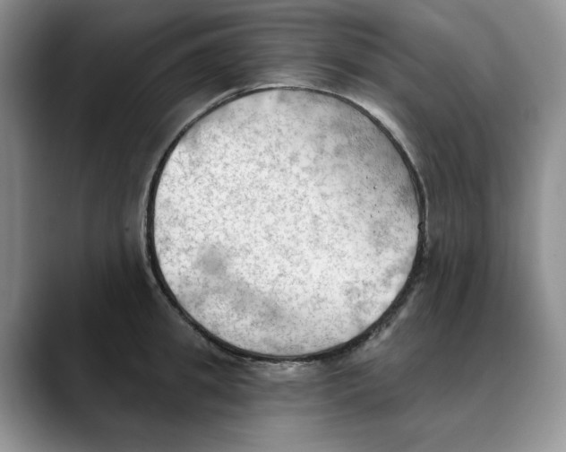 X0000088490949200706121546