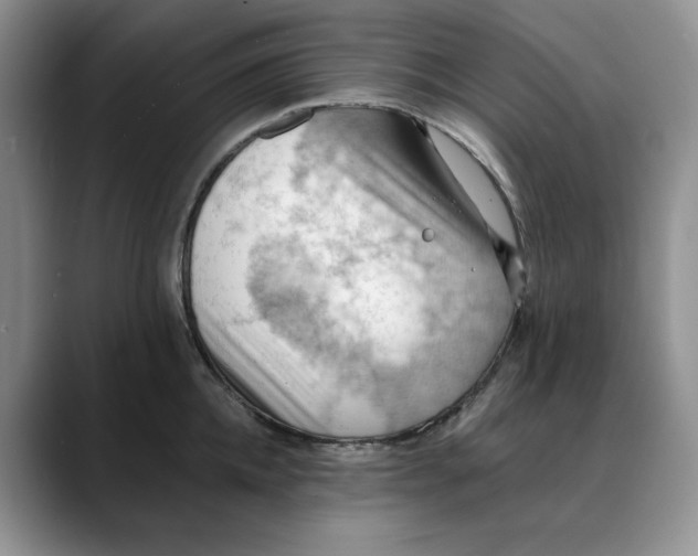 X0000088490952200706121546