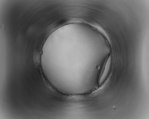 X0000088490953200706121546