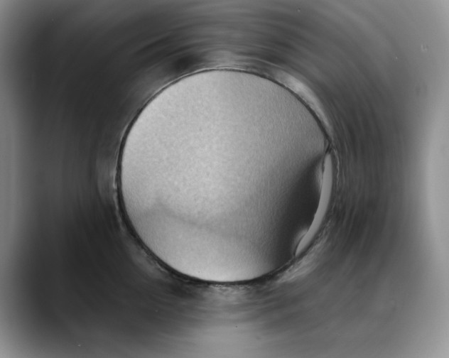 X0000088490954200706121547