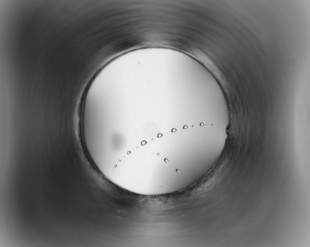 X0000088490955200706121547