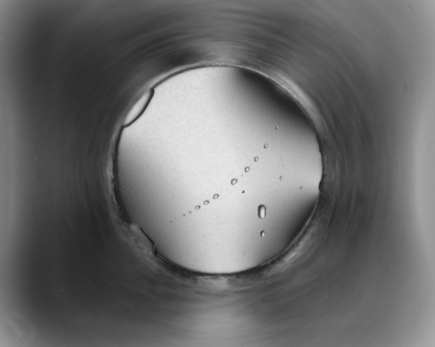 X0000088490956200706121547