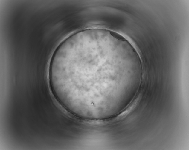 X0000088490957200706121547