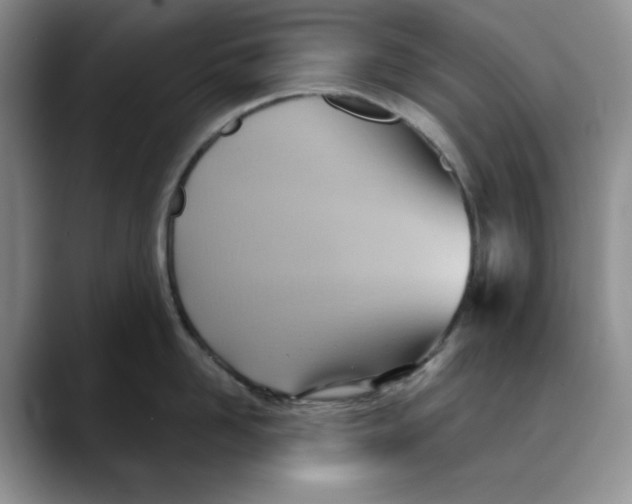 X0000088490958200706121547