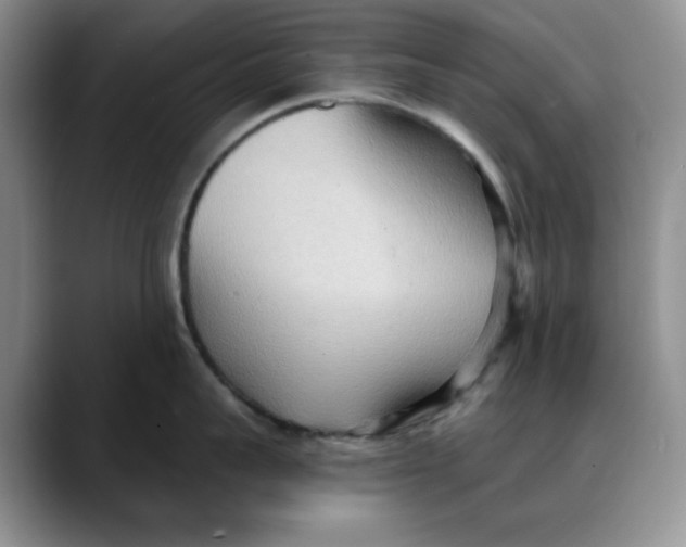 X0000088490959200706121547