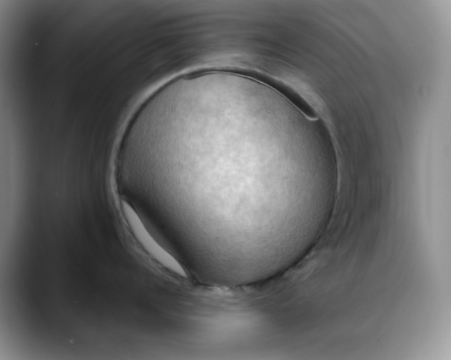 X0000088490960200706121547