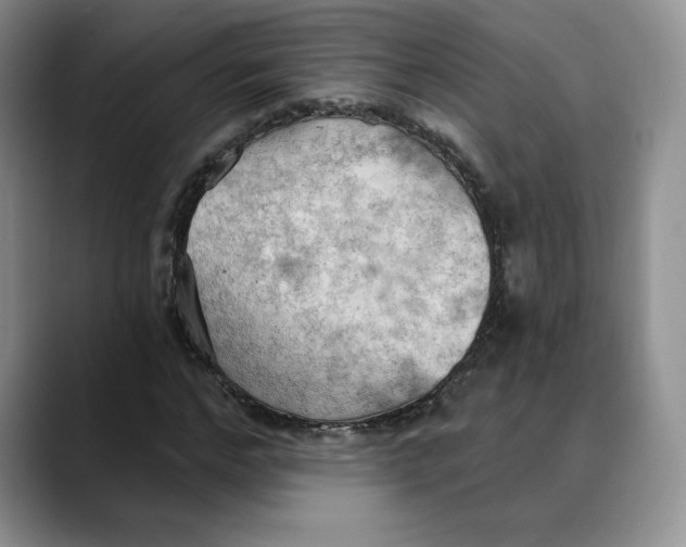 X0000088490968200706121546