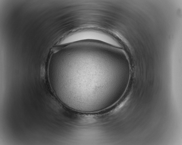 X0000088490969200706121546