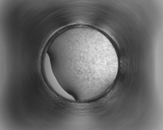 X0000088490972200706121546