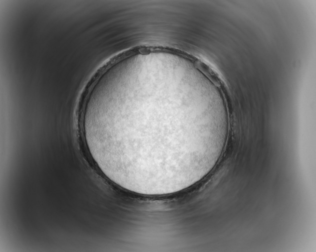 X0000088490976200706121546