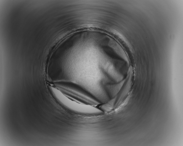 X0000088490977200706121546