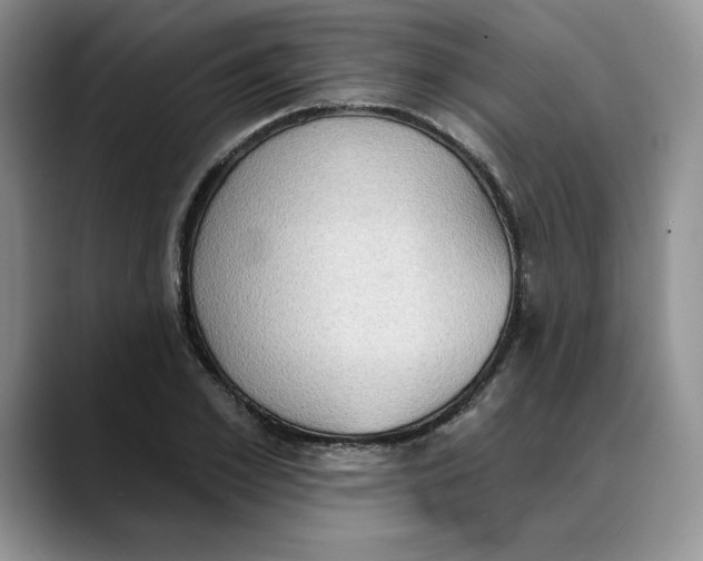 X0000088490981200706121546