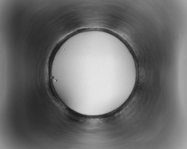 X0000088490982200706121546