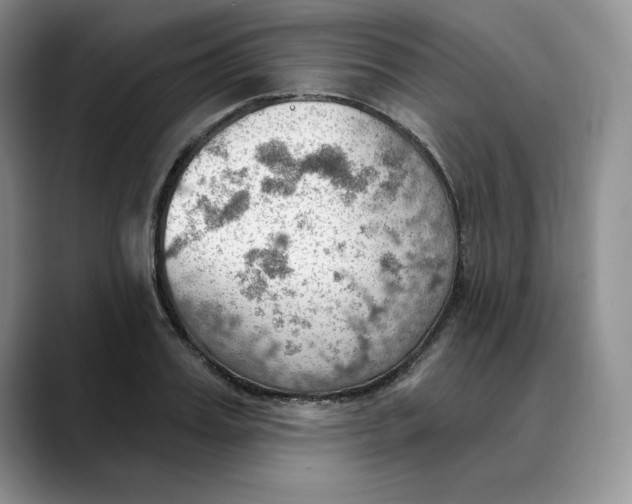 X0000088490987200706121546