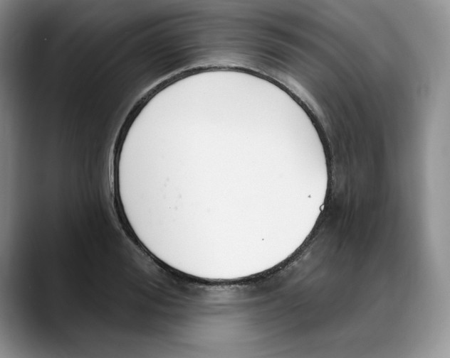 X0000088490988200706121546