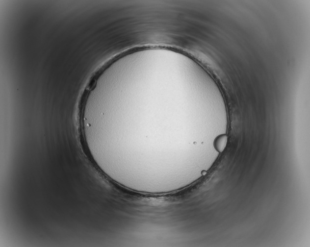 X0000088490990200706121546