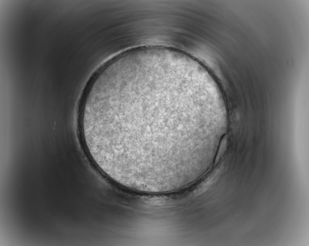 X0000088490991200706121546