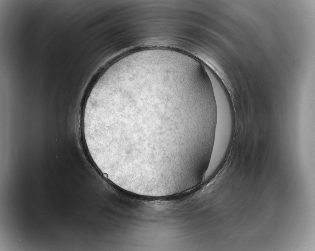 X0000088490992200706121546