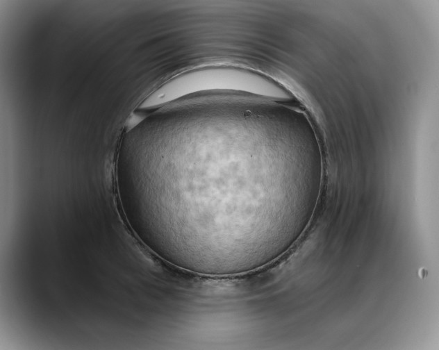 X0000088490993200706121546