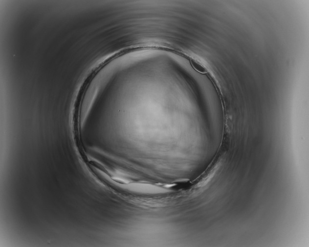 X0000088490995200706121546