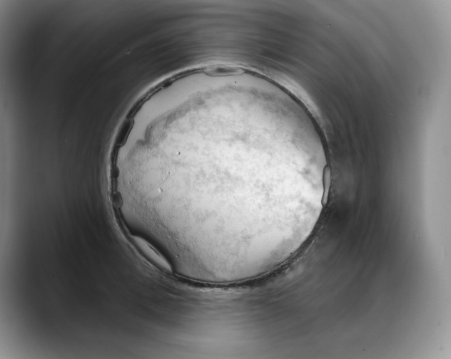 X0000088490996200706121546