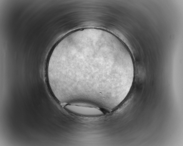 X0000088490997200706121546