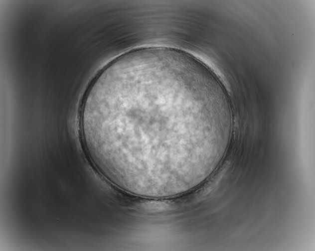 X0000088490998200706121546