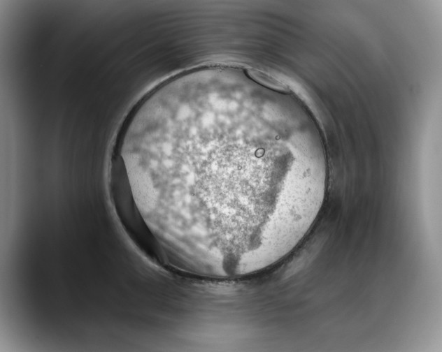 X0000088490999200706121546