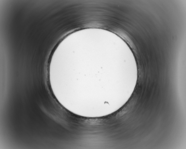 X0000088491000200706121546