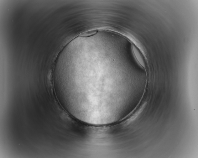 X0000088491001200706121546