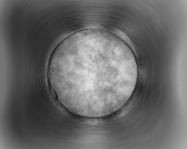 X0000088491002200706121546