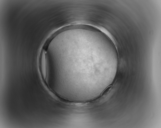 X0000088491005200706121546