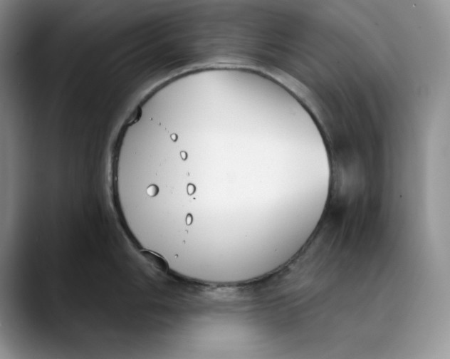 X0000088491006200706121545